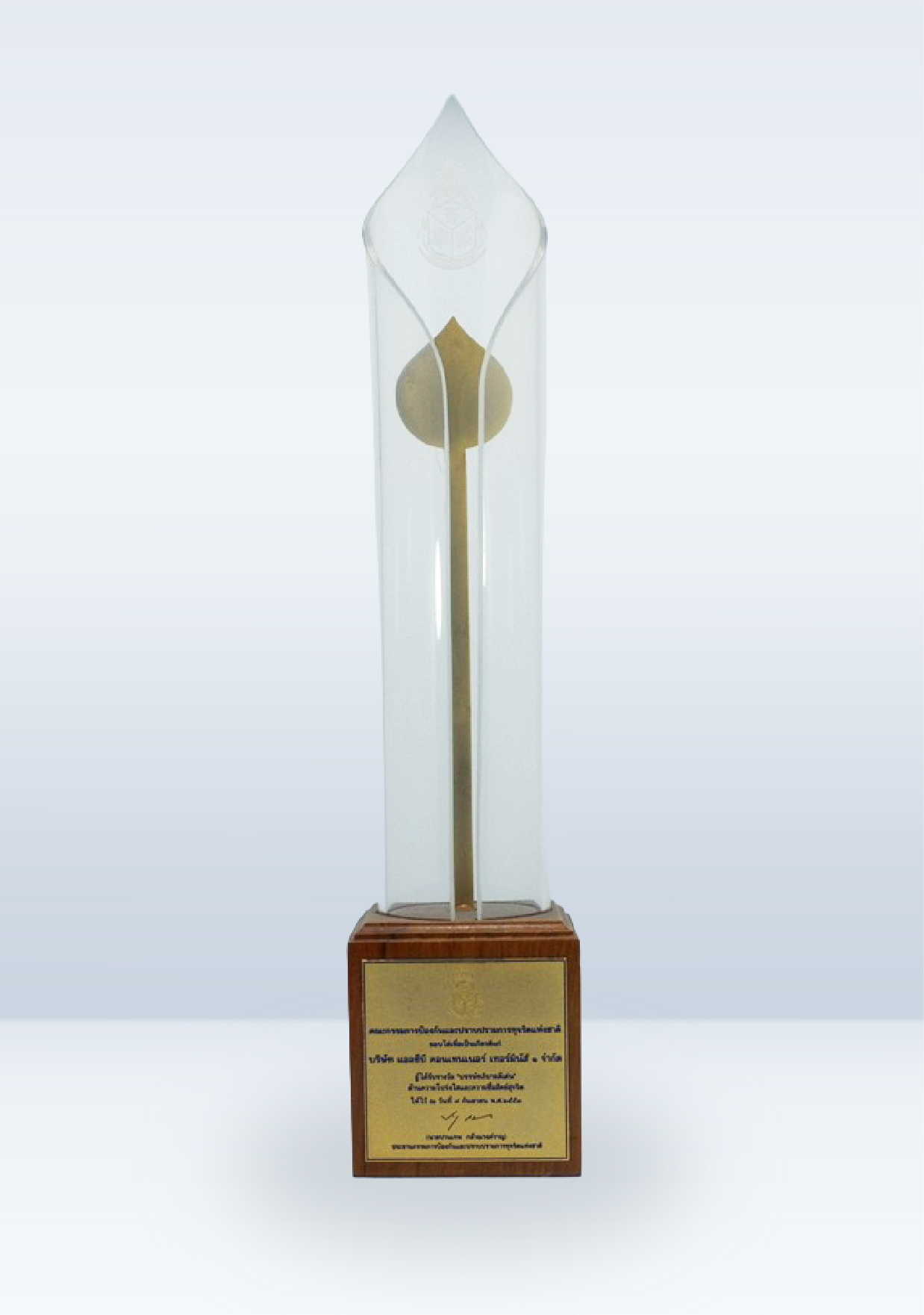 2010 CG Award by NACC